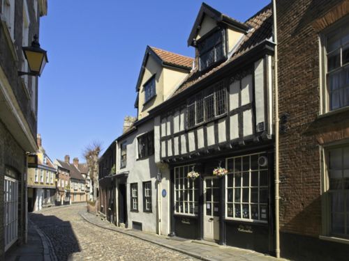 Elm Hill #2